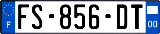 FS-856-DT