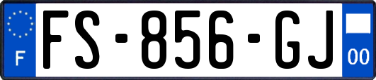 FS-856-GJ