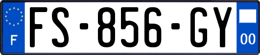 FS-856-GY
