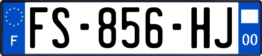 FS-856-HJ