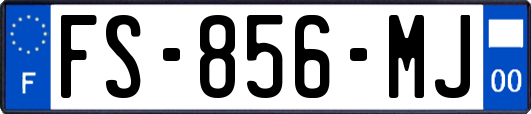 FS-856-MJ