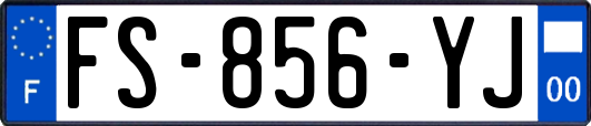 FS-856-YJ