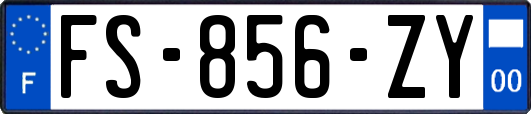FS-856-ZY