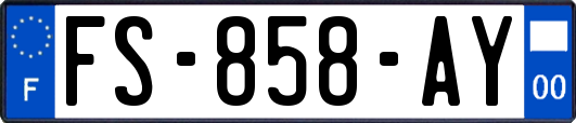 FS-858-AY