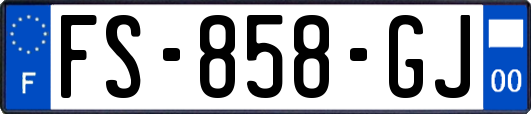 FS-858-GJ