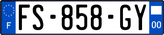 FS-858-GY