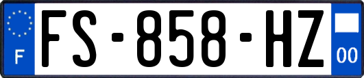 FS-858-HZ