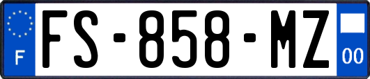 FS-858-MZ