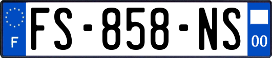FS-858-NS
