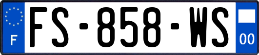FS-858-WS