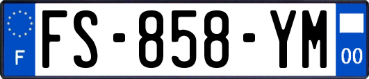 FS-858-YM