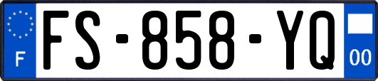 FS-858-YQ