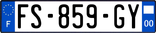 FS-859-GY