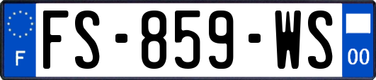 FS-859-WS