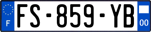 FS-859-YB