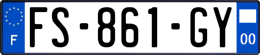 FS-861-GY