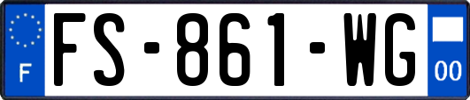 FS-861-WG