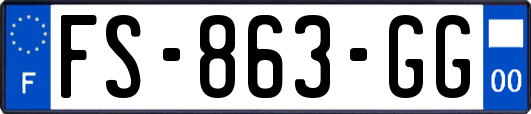 FS-863-GG