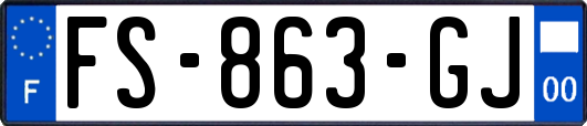 FS-863-GJ