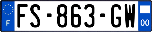 FS-863-GW