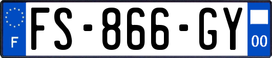 FS-866-GY