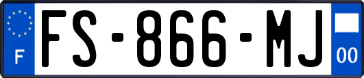 FS-866-MJ
