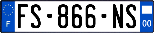 FS-866-NS