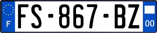 FS-867-BZ