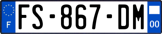 FS-867-DM