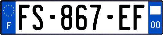 FS-867-EF