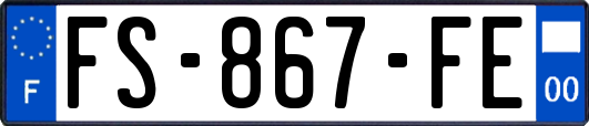 FS-867-FE