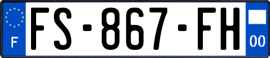 FS-867-FH