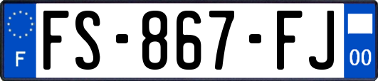 FS-867-FJ