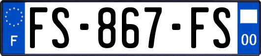 FS-867-FS