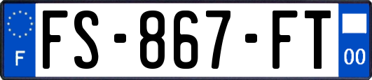 FS-867-FT