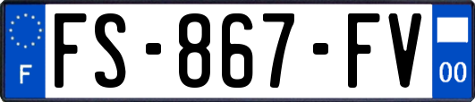 FS-867-FV