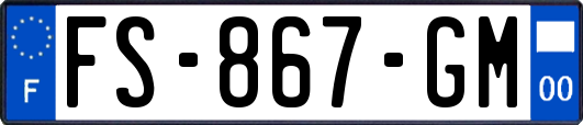FS-867-GM