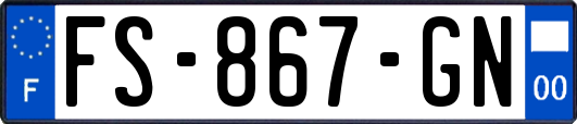 FS-867-GN
