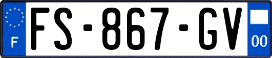 FS-867-GV