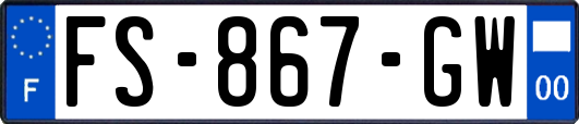 FS-867-GW
