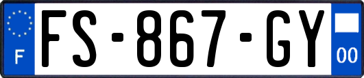 FS-867-GY