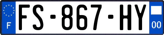 FS-867-HY
