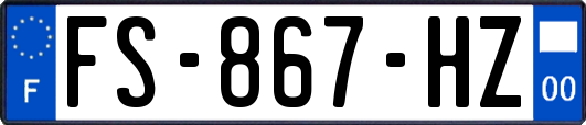 FS-867-HZ
