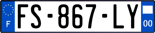 FS-867-LY