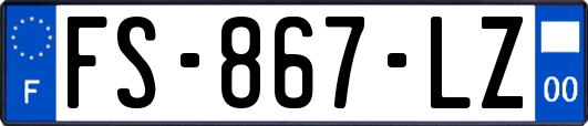 FS-867-LZ