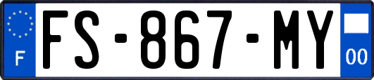 FS-867-MY