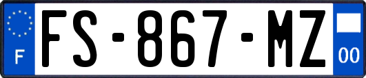 FS-867-MZ