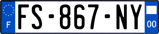 FS-867-NY