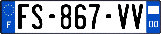 FS-867-VV