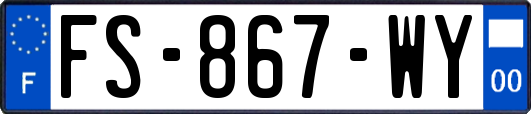 FS-867-WY